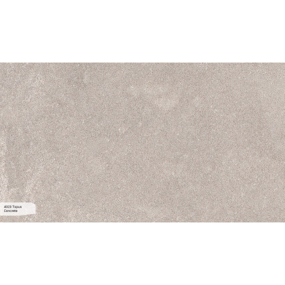 4023 Topus Concrete